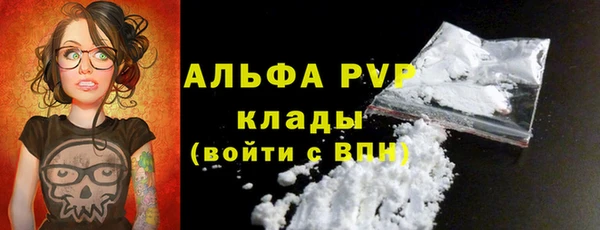ECSTASY Вяземский