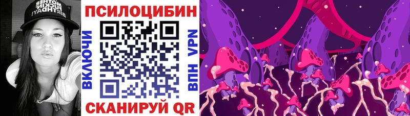Псилоцибиновые грибы Psilocybe  цены наркотик  Одинцово 